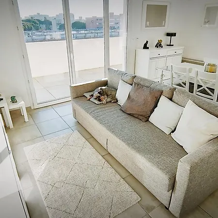 T3 Au Lavandou Avec Piscine, 6 Pers, 900m - Fr-1-803-97 *